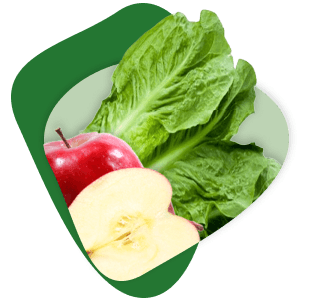 Frutas y Verduras