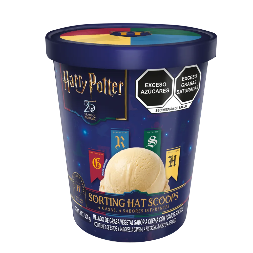 HELADO SORTING HAT SCOOPS HARRY POTTER 1 LITRO