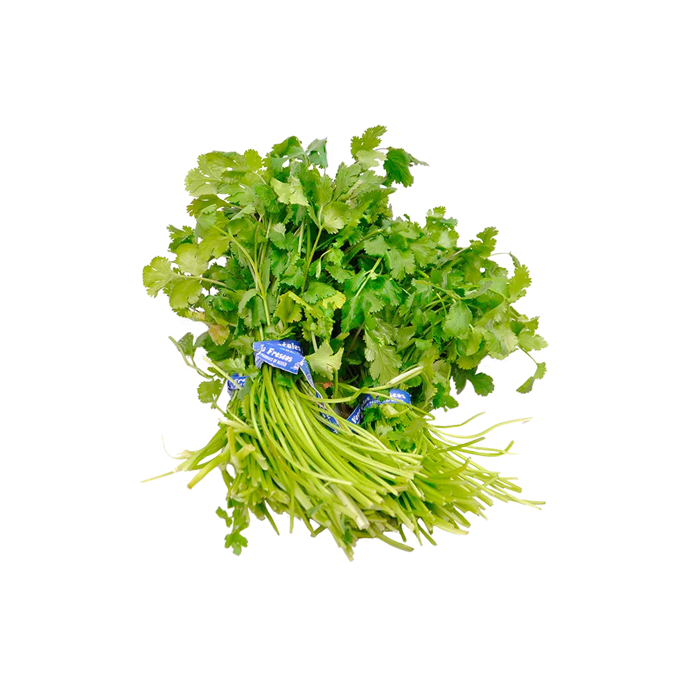 Cilantro Alsuper Por Manojo