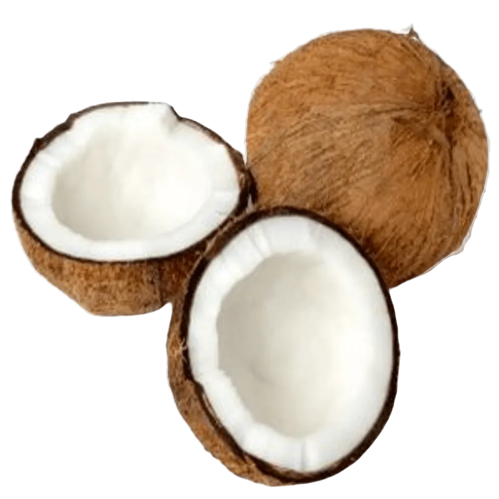 Coco de agua Pza
