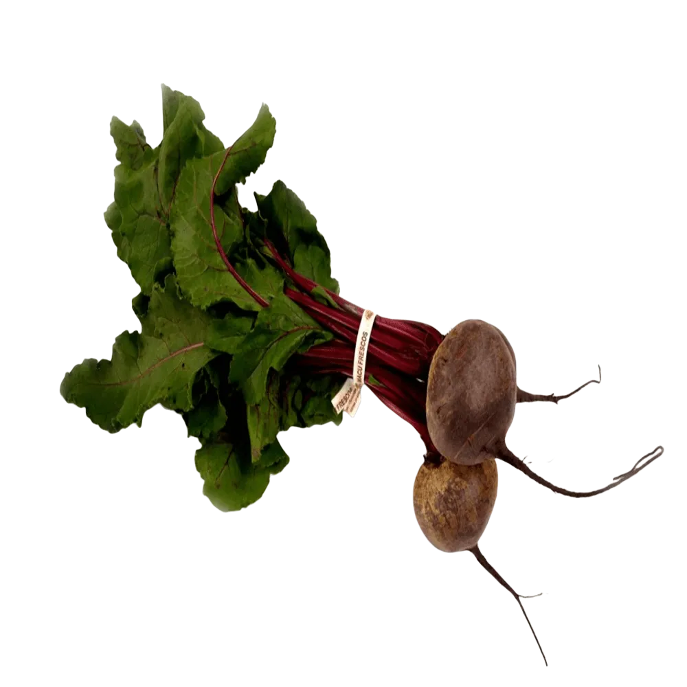Betabel Manojo