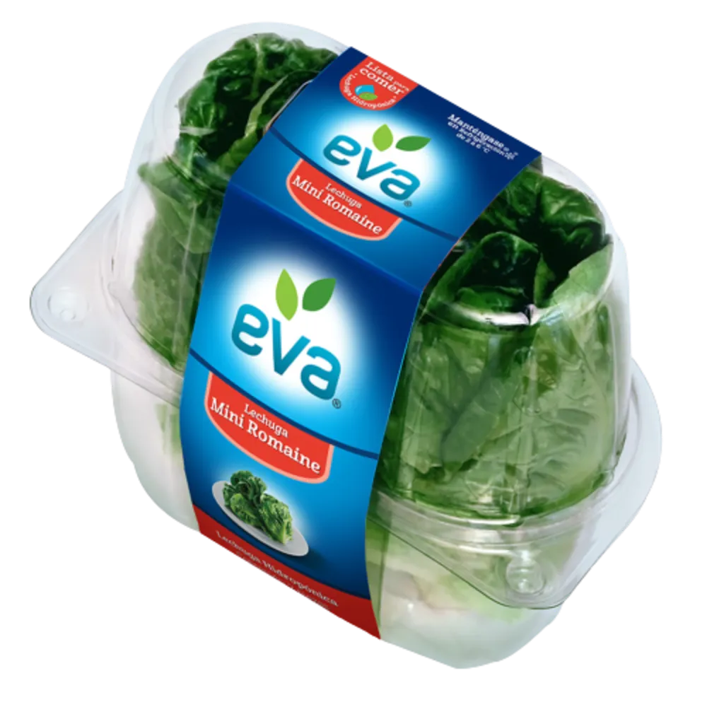 Lechuga Baby Romaine Hidropónica Eva Pza
