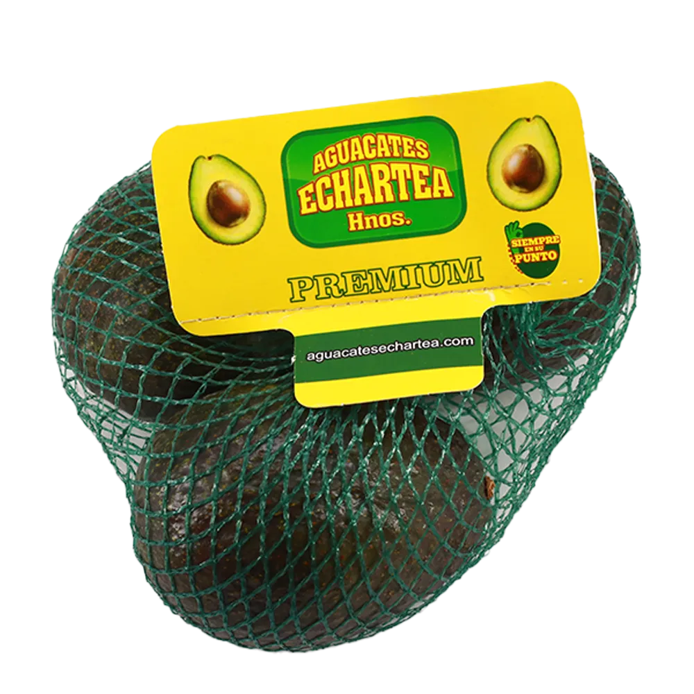 Aguacate Purépecha Pza