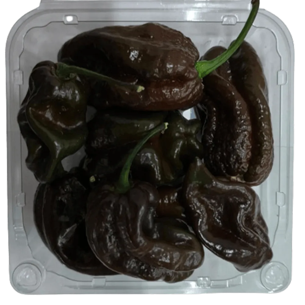 CHILE HABANERO CHOCOLATE . 1 PIEZA