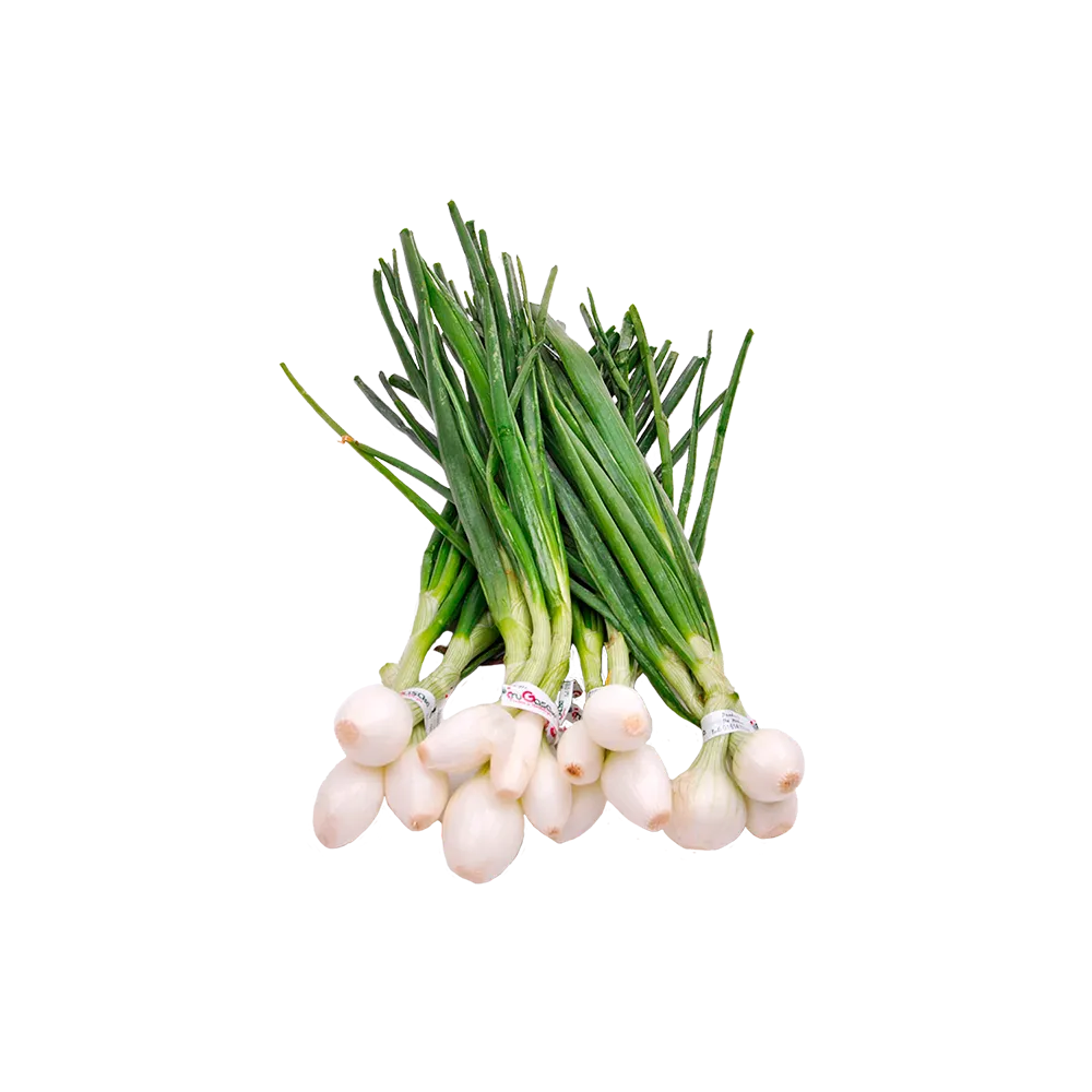 Cebollita Cambray Manojo