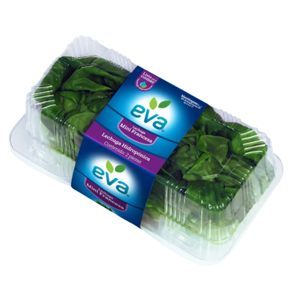 Lechuga Mini Francesa Hidropónica Eva Pza