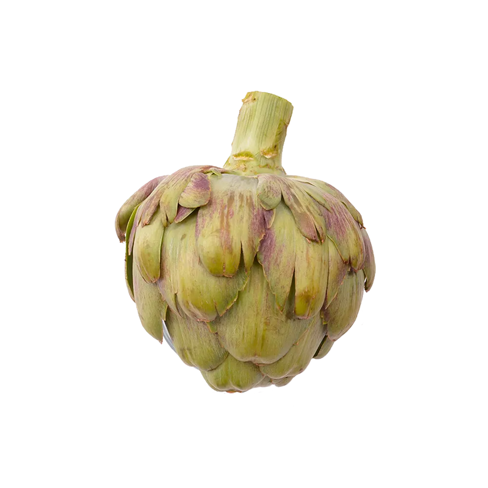 Alcachofa Pza