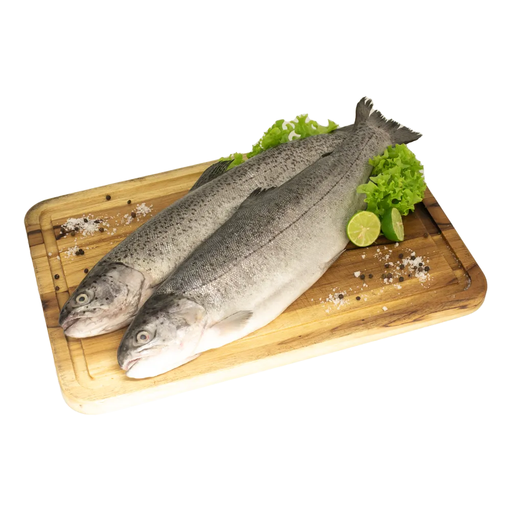 Trucha Arcoiris Fresca   Kg