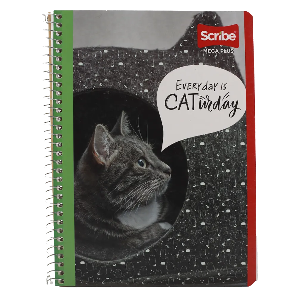 CUADERNO FRANCES MEGA PLUS C5 SCRIBE 1 PIEZA