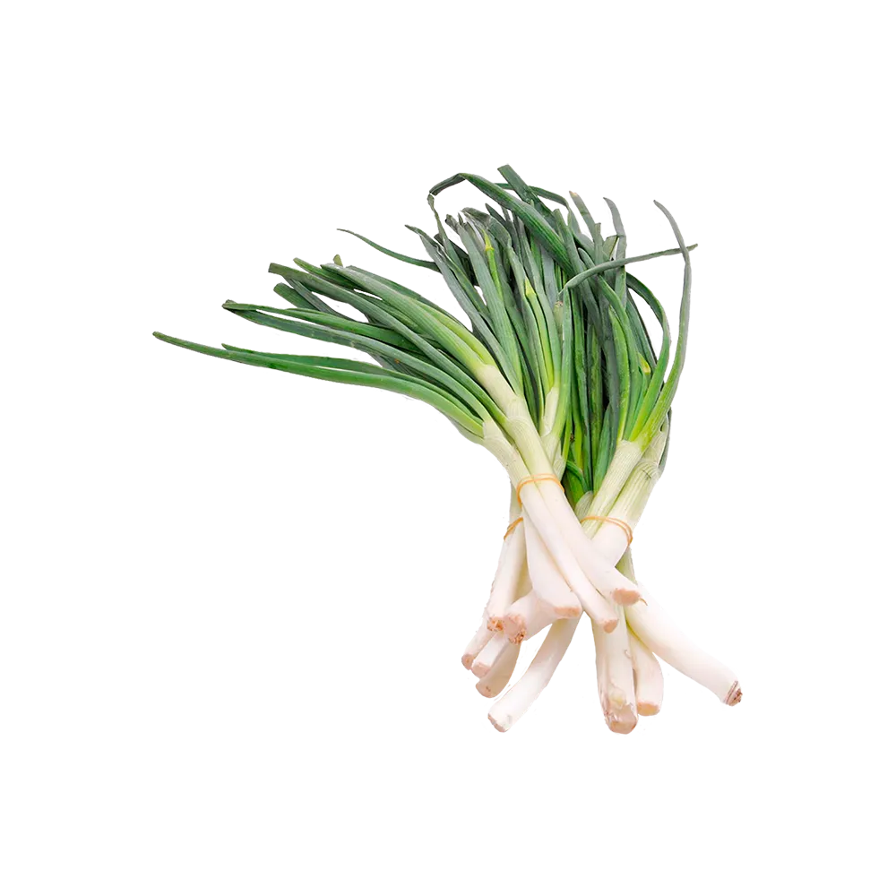 Cebollita De Rabo Manojo