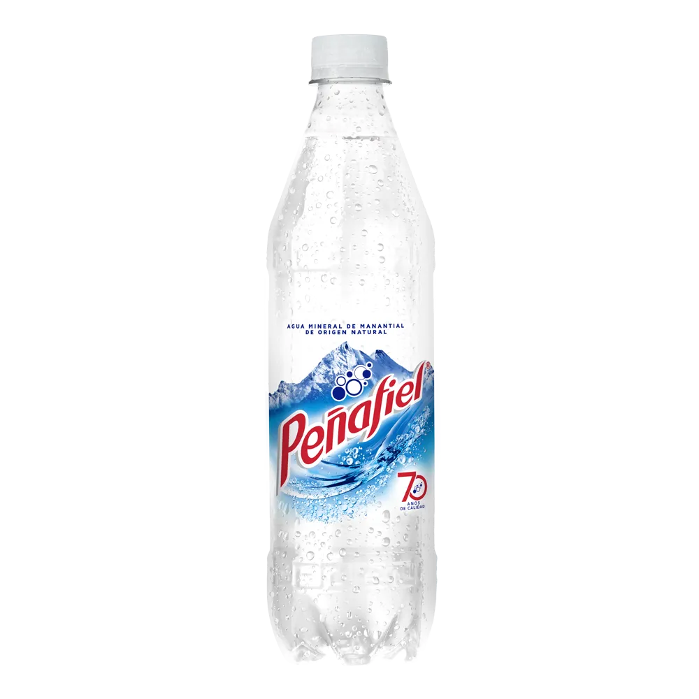 Agua Mineral 0 Peñafiel 600 Ml