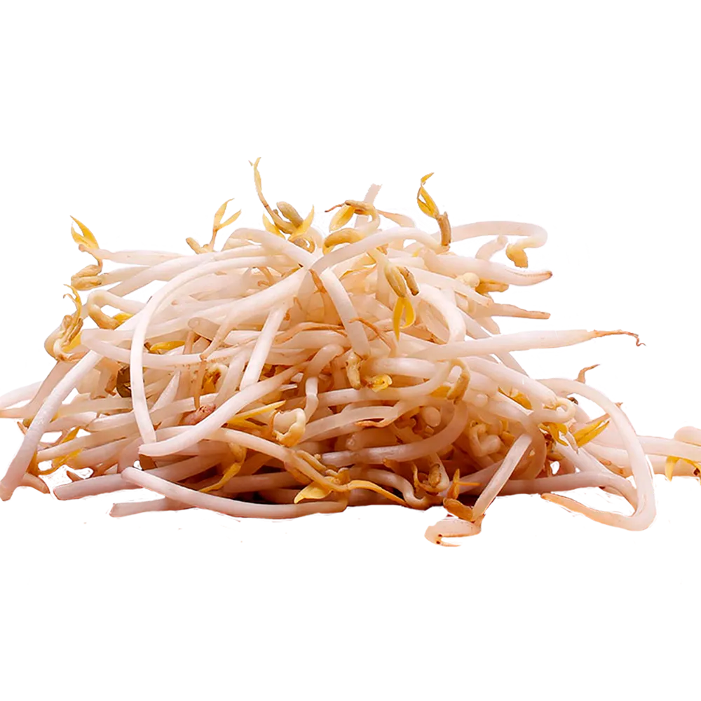 Germinado Soya Kg