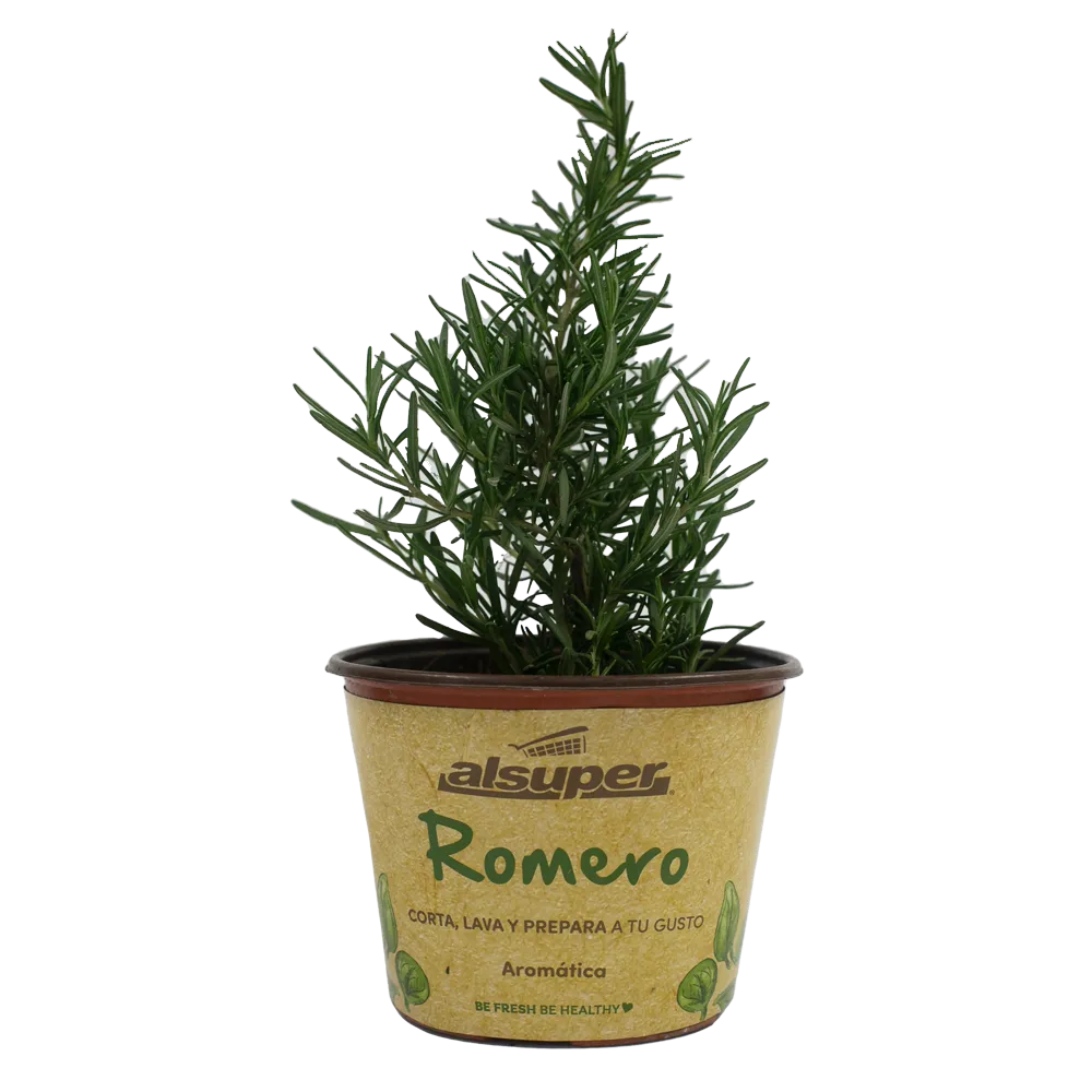 Romero Aromatica M06 Alsuper 1 Pz