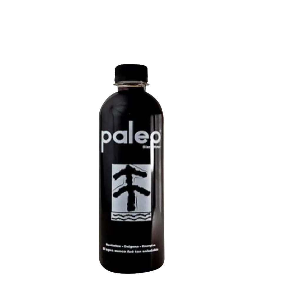 Agua Purificada Negra Paleo 1 Lt
