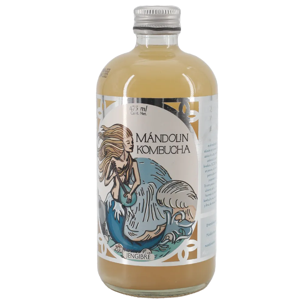 Kombucha Jengibre Mandolin 475 Ml