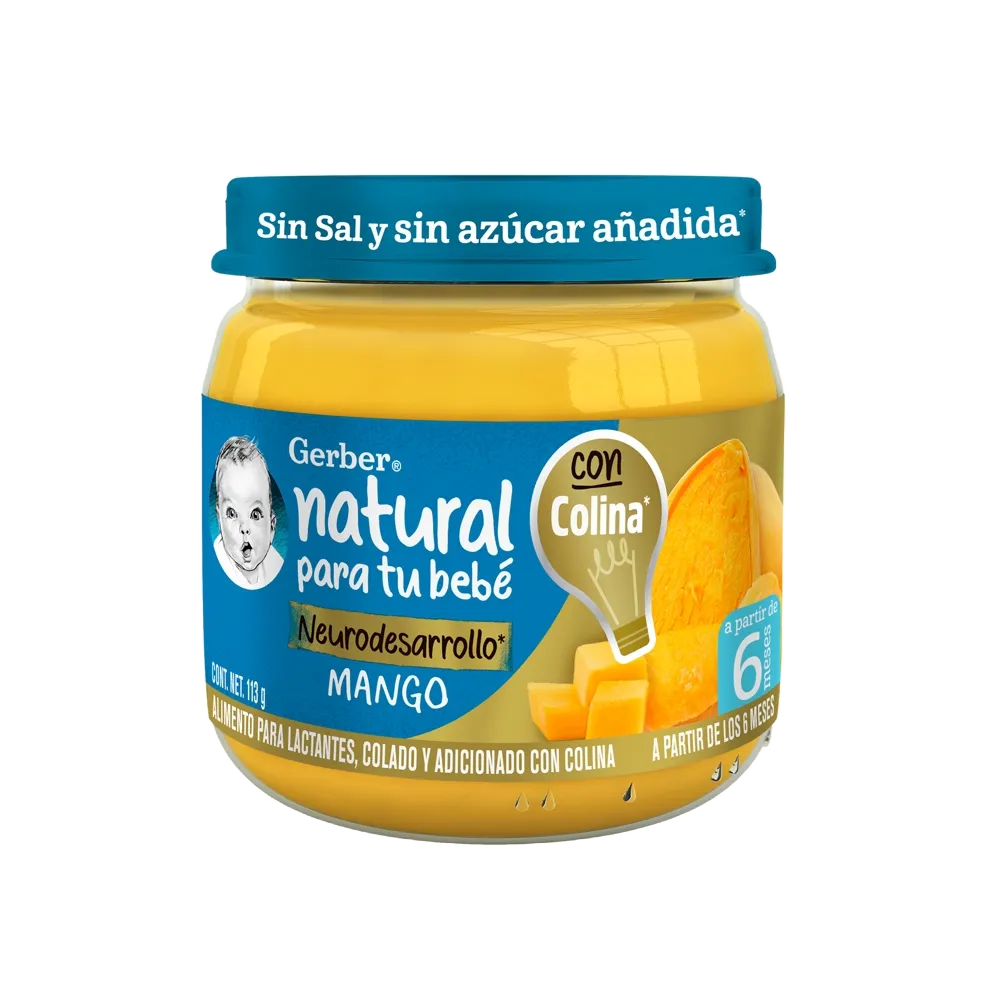 Papilla Segunda Etapa Mango Gerber 113 Gr