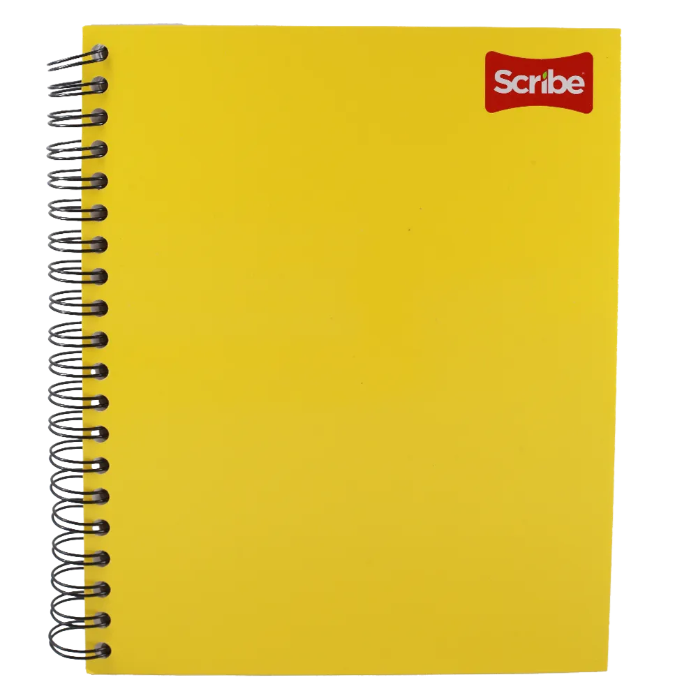 CUADERNO FRANCES CLASICO RAYA SCRIBE 100 HOJAS